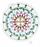 Mandala 8