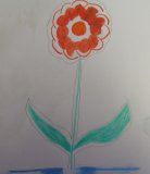 Kresba červené květiny
