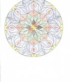 Mandala V.