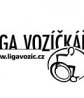 Liga vozíčkářů