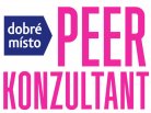 PEER KONZULTANT